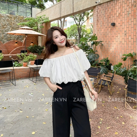 QUẦN TÂY DÁNG SUÔNG BASIC ZAREEN TRS27