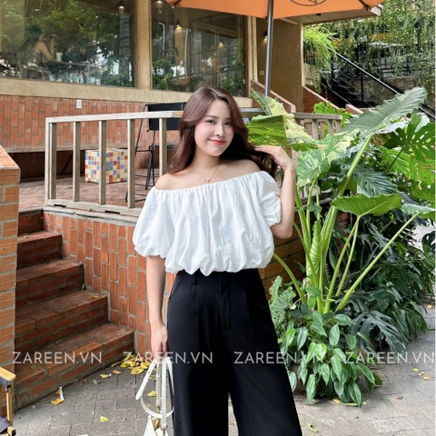 QUẦN TÂY DÁNG SUÔNG BASIC ZAREEN TRS27