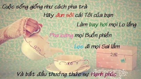 thương thức trà