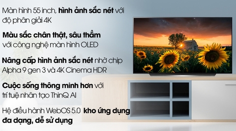 Smart Tivi OLED LG 4K 55 inch 55 CXPTA Model 2020