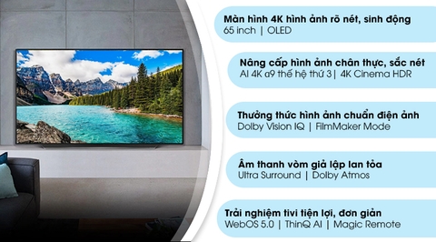 Smart Tivi OLED LG 4K 65 inch 65CXPTA Model 2020