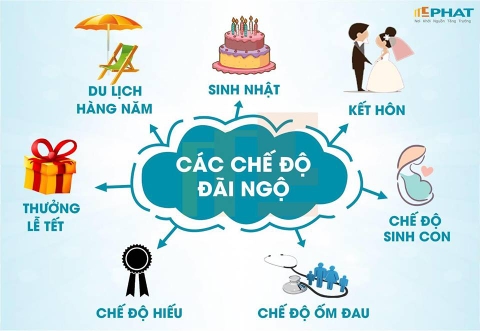 Chế độ đãi ngộ theo chính sách của Công ty TNHH E Phát