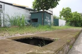 Sân golf 5 sao 'chết yểu' của FLC ở Phú Thọ thành bãi chăn dê
