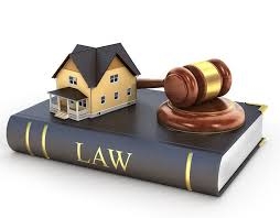 Hà Nội: Huyện Hoài Đức và Phúc Thọ sắp đấu giá gần 60 thửa đất, khởi điểm từ hơn 7 triệu đồng/m2