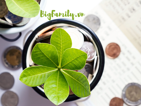 Tiết kiệm tiền thông qua Bảo hiểm Nhân thọ