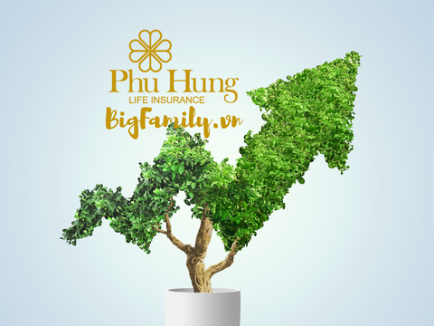 Phú Hưng Life Bảo hiểm đầu tư - Phú Hưng Thịnh Vượng