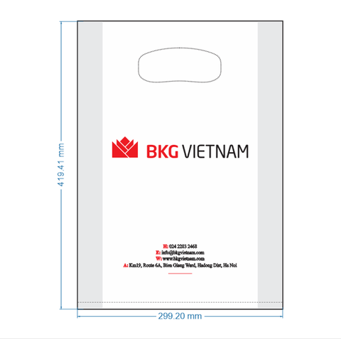 Túi nilon in 2 màu