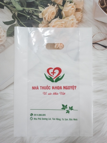 Túi nilon ( PE ) đục lỗ 30x42cm