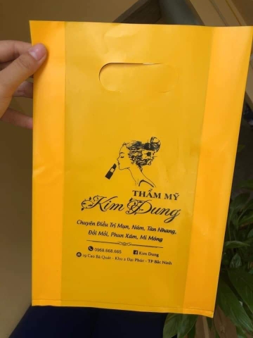 Túi nilon ( HD ) đục lỗ 20x30cm