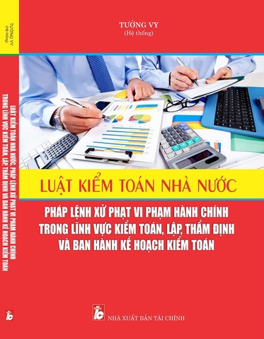 Luật Kiểm Toán Nhà Nước, Pháp Lệnh Xử Phạt Vi Phạm Hành Chính Trong Lĩnh Vực Kiểm Toán, Lập, Thẩm Định Và Ban Hành Kế Hoạch Kiểm Toán