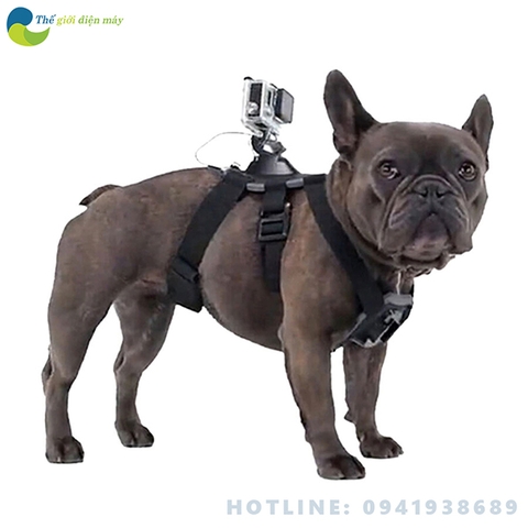 Bộ dây đeo yên cương gắn camera hành trình, camera hành động cho thú cưng