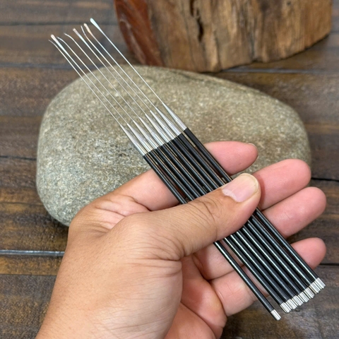 Cây Nại Ráy Tại Ráy Tai Siêu Nhỏ Ráy Màng Nhỉ