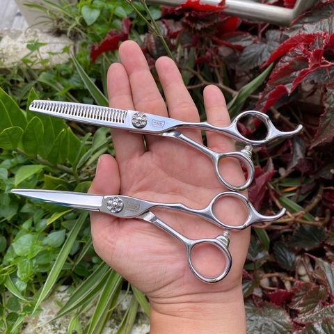 Kéo Cắt Tóc Wahl K97 6Inch