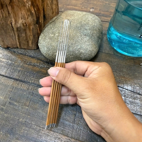 Cây Nại Ráy Tai Đầu Nhỏ  913