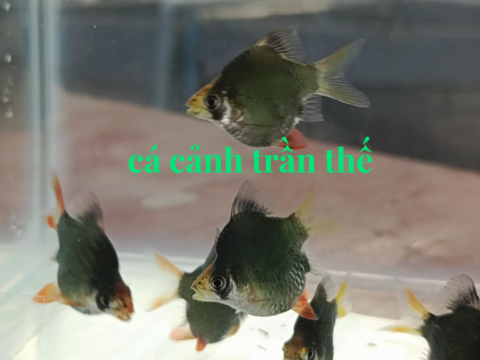 Slide 3