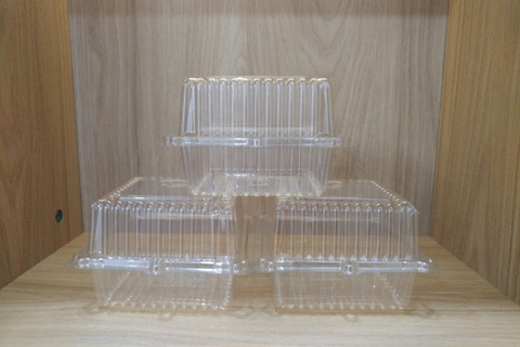 Hộp nhựa PET H05 Tiến Đức