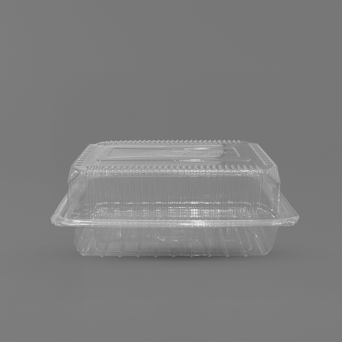 Hộp nhựa PET H07 Tiến Đức