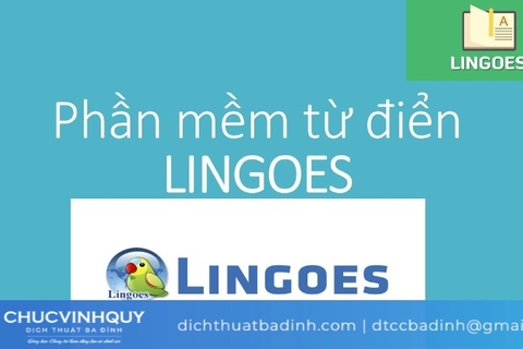 Phần mềm dịch tiếng anh lingoes và một số lưu ý khi sử dụng
