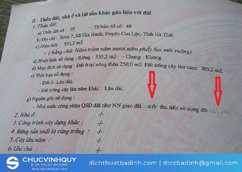 Dịch thuật giấy tờ không được áp dụng trong trường hợp nào?