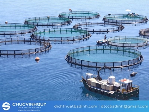 Dịch tiếng Anh chuyên ngành thủy sản giúp tăng trưởng kinh tế