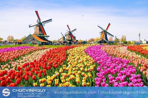 Dịch vụ dịch tiếng Hà Lan sang tiếng Việt tốt nhất hiện nay