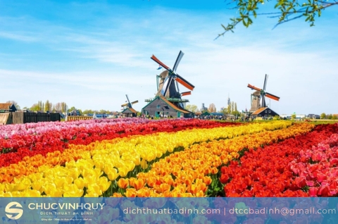 Dịch vụ Dịch thuật công chứng tiếng Hà Lan - Dịch thuật công chứng lấy nhanh, chính xác