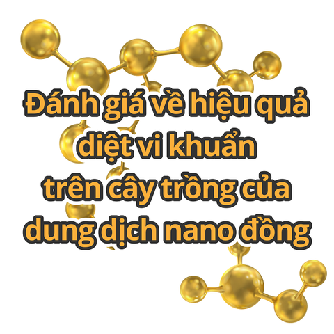 Đánh giá về hiệu quả diệt vi khuẩn trên cây trồng của dung dịch nano đồng