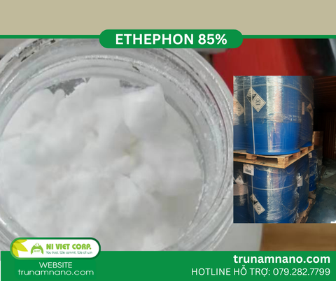 Ethephon 40%, 85% kích thích mủ cao su và làm chín trái cây