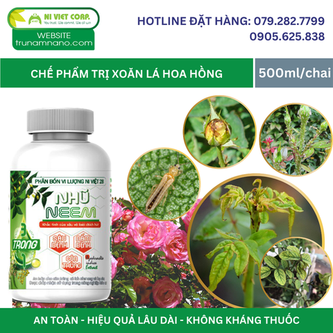 Chế phẩm Nhũ Neem trị bệnh xoăn lá ở hoa hồng do bọ trĩ