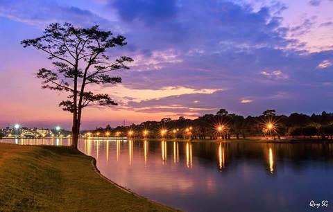 Tour Du Lịch Đà Lat bao vé máy bay khứ hồi (3 Ngày 2 Đêm)