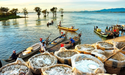Tour Miền Tây 3N2Đ Mỹ Tho – Bến Tre – Cần Thơ – Châu Đốc