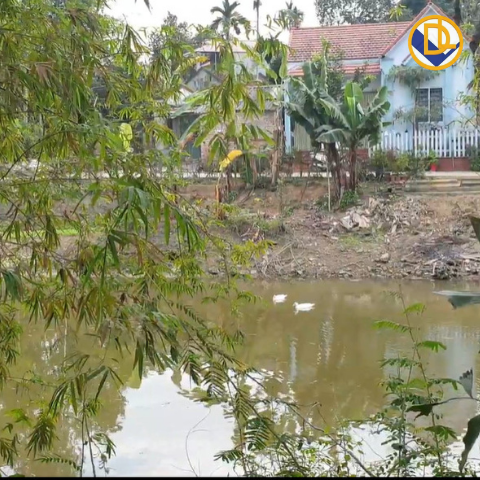 200m2 tại PHÚ CÁT, QUỐC OAI, HÀ NỘI tiềm năng tăng giá TỐT | ĐẤT NỀN PHÚ CÁT | TIẾN MAI DREALAND