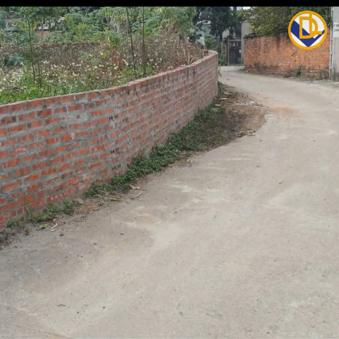 200m2 tại PHÚ CÁT, QUỐC OAI, HÀ NỘI tiềm năng tăng giá TỐT | ĐẤT NỀN PHÚ CÁT | TIẾN MAI DREALAND