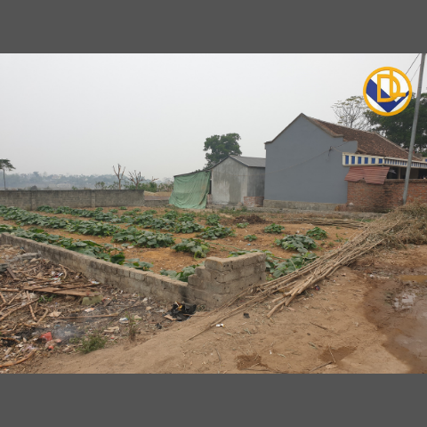 410m2 siêu phẩm tại trục chính Thôn 2, PHÚ CÁT, QUỐC OAI | ĐẤT NỀN PHÚ CÁT | TIẾN MAI DREALAND