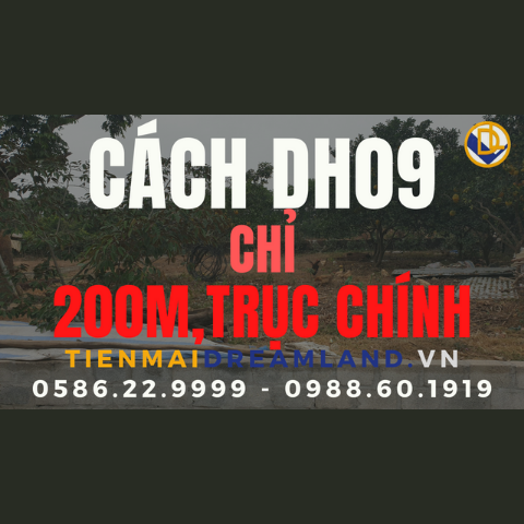 dat-nen-hoa-thach