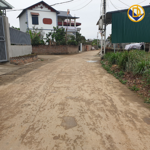 dat-nen-quoc-oai