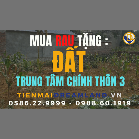 dat-nen-quoc-oai