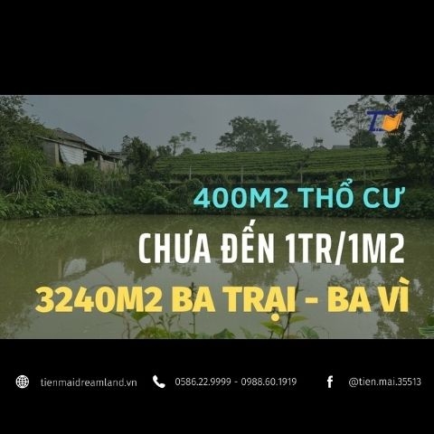 dat-nghi-duong-ba-vi