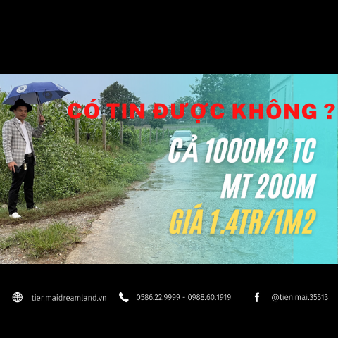 dat-nghi-duong-ba-vi