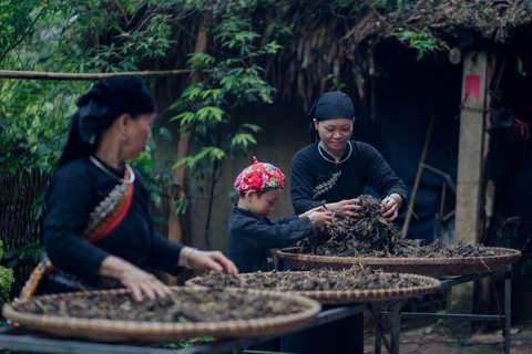 2 Days Experiencing & Exploring Thai Hai CBT Village