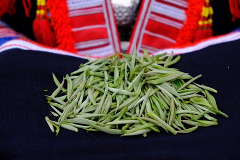 Day trip easy rider loop Hoang Su Phi- Enjoy hot spring bath and Shan Tuyet Tea.