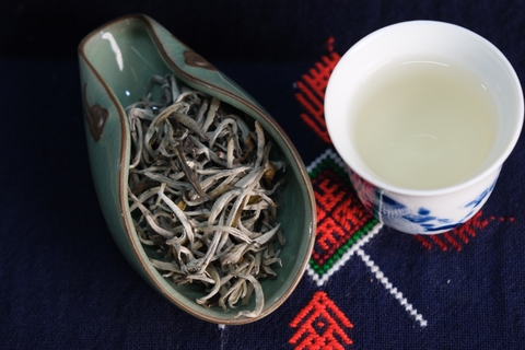 Day trip easy rider loop Hoang Su Phi- Enjoy hot spring bath and Shan Tuyet Tea.