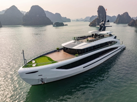 Taliya Cruise- Daily Departure: Hà Nội- Hạ Long- Lan Hạ- Tuần Châu- 1,550,000 VND.