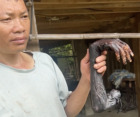 Day trip explore an authentic ancient custom in Hoang Su Phi