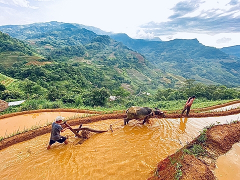 Day trip easy rider loop Hoàng Su Phì, Hà Giang
