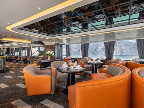 Taliya Cruise- Daily Departure: Hà Nội- Hạ Long- Lan Hạ- Tuần Châu- 1,550,000 VND.