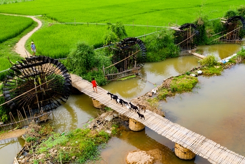 Hanoi- Mai Chau- Pu Luong- Ninh Bình- Hạ Long/ Lan Ha- Yen Duc village by private car