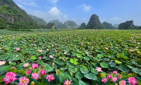 Day trip Ninh Bình by private car/ Xe riêng