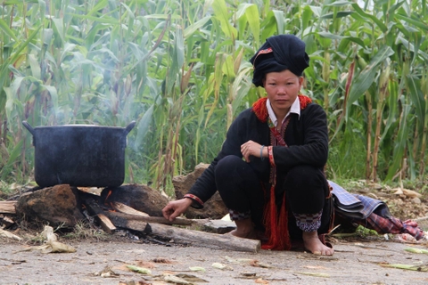 Hoàng Su Phì- Xín Mần- Bắc Hà