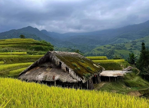 2 Days 1 Night Tây Côn Lĩnh Mountain climbing/ Chinh phục Tây Côn Lĩnh, Hà Giang